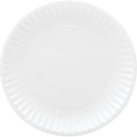 AJM Packaging Corporation Coated Paper Plates 6