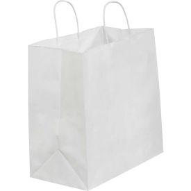 GoVets™ Paper Shopping Bags 13