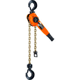 CM Series 653 Ratchet Lever Hoist 3T Capacity 10' Lift 5321A