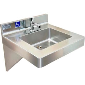 BSM Inc. ADA SS Hand Sink 1 Station with Metering Faucet Wall Mount 20