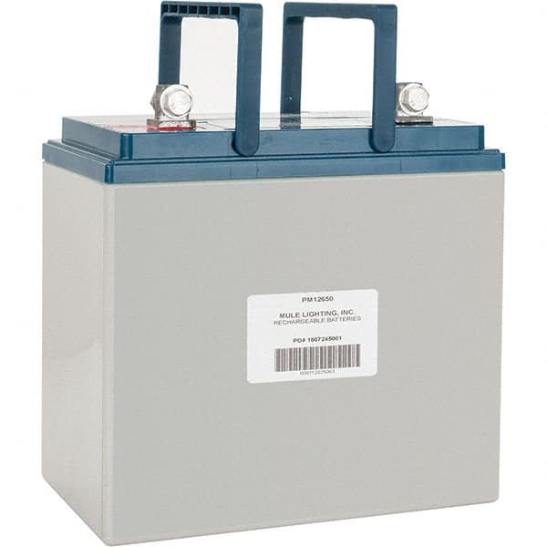 Rechargeable Lead Battery: 12V, Heavy-Duty L-Type Terminal MPN:PM12650