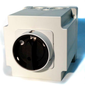 Springer Controls/MERZ W451/7-I3-DA40A3-POLEEncl. Reversing SwitchSpring-Return Lockable Handle 1/7-I3-DAW45