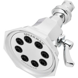 Speakman S-3019 Anystream® Vintage Shower Head S-3019