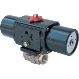 Gemini Valve® S/S Ball Valve W/500 Series Spring-Return Pneumatic Actuator 3/4