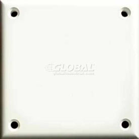 Cortech USA TPDBB High Security Double Blank Cover Plate W/Hardware1/Pack TPDBB