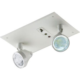 Emergi-Lite RSM18-210LA Recessed Light - 6V 2- 4W LED MR16 Lamp Heads RSM18-210LA