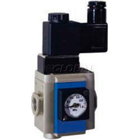 Bimba-Mead Soft Start Valve MGV200-08-T-24VDC 1/4