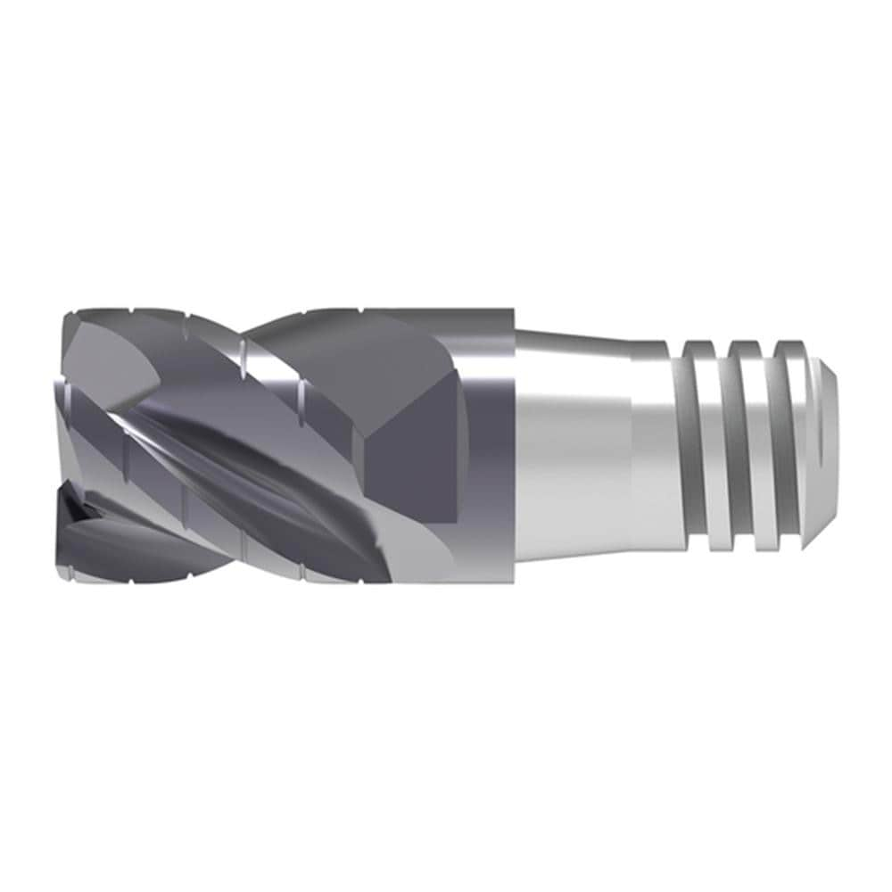 Corner Radius & Corner Chamfer End Mill Heads, Mill Diameter (mm): 10.00 , Chamfer Width (mm): 0.200 , Chamfer Angle: 45.000 , Length of Cut (mm): 12.5000  MPN:52862100