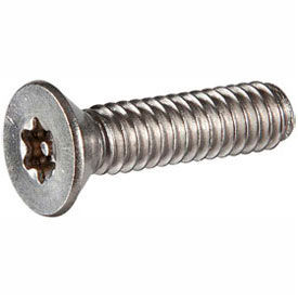 M6 x 1.0 x 60mm Security Machine Screw - Flat Torx Head - 18-8 Stainless Steel - FT - UNC - 100 Pk 231030