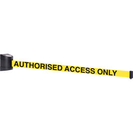 WallPro 400 Wall Mount Retractable Belt Barrier Black Case W/15' Yellow 