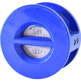 Legend Valve® T-312 Ductile Iron Check Valve w/ EPDM Seats Stainless Steel Disc 2-1/2