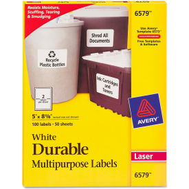 Avery® Permanent Durable ID Laser Labels 5 x 8-1/8 White 100/Pack 6579