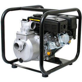 Pentair Water 1542A-65SP 6.5 HP  2