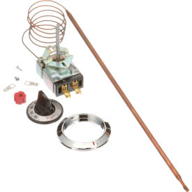 Allpoints 46-1167 Thermostat Kit; Type SP Kit; Temperature 100 - 200 °F; 36