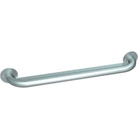 ASI® Snap Flange Grab Bar - 36