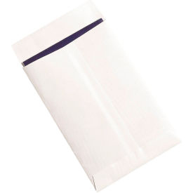 Ship-Lite® Flat Envelopes 6