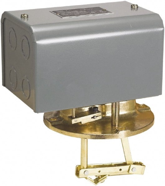 1 NEMA Rated, DPST-DB, Float Switch Pressure and Level Switch MPN:9038DG8