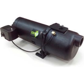 Eco Flo EFSWJ7 Shallow Well Jet Pump - 1-1/4 In. FNPT Inlet - 3/4 HP - 115/230V - 10.3 GPM EFSWJ7