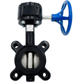 Legend Valve® T-365DI-G Butterfly Valve with EPDM Seals & Gear Operator 8