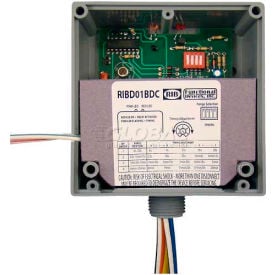 RIB® Dry Contact Input Relay RIBD01BDC Enclosed Time Delay 120VAC 20A SPDT RIBD01BDC