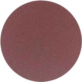 Delta 31-422 12 In. 80 Grit 2 Pc. PSA Aluminum Oxide Sanding Discs 31-422