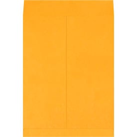 GoVets™ Jumbo Envelopes 15