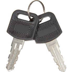 Replacement Keys for GoVets™ Charging Cabinets/Carts 985748 251761 987877 2/Pack 017RP9