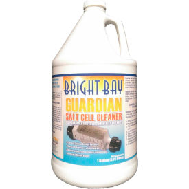 Guardian Salt Cell Cleaner Gallon Bottle 4/Case - P3128CS P3128CS