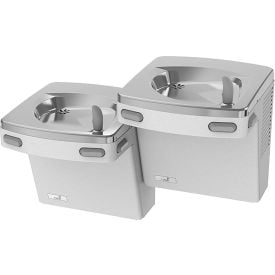 Oasis® PGF8ACSL Bi-Level Drinking Fountain Filtered Greystone 507365