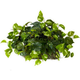 Nearly Natural Pothos Ledge Plant (Set on Foam) Silk Plant 6708