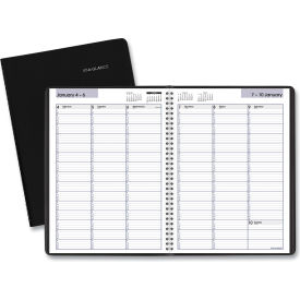 AT-A-GLANCE® DayMinder Weekly Appointment Book Vertical-Column Format 11 x 8 2025 G52000