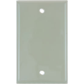 Sunlite® Blank Switch & Receptacle Plate 1-Gang Ivory Pack of 12 40920-NS