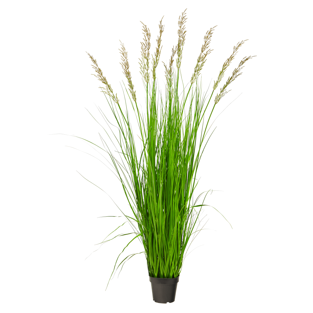 Nearly Natural Plume Grass 66inH Artificial Plant With Planter, 66inH x 24inW x 24inD, Green/Black MPN:P1684