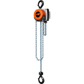 CM Hurricane 360° Hand Chain Hoist 1 Ton 10 Ft. Lift 5626A