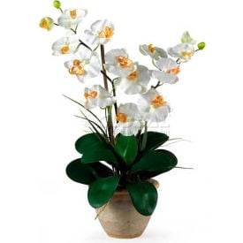 Nearly Natural Double Phalaenopsis Silk Orchid Flower Arrangement Cream 1026-CR