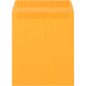 GoVets™ Redi-Seal Envelopes 10