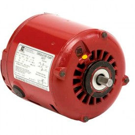 Example of GoVets Circulating Pump Motors category