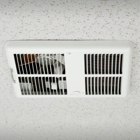 Example of GoVets Ceiling Mounted Heaters category