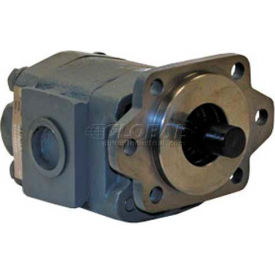 Buyers H21 Series Hydraulic Pump H2136121 2/4 Bolt 3000 Max Pressure 7/8-13 Spline Shaft H2136121