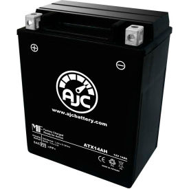 AJC Battery Power Max GTX14AH-BS Battery 14 Amps 12V B Terminals AJC-PS-ATX14AH-500224