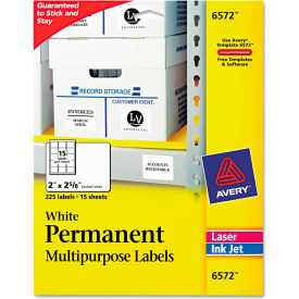 Avery® Permanent ID Labels Laser/Inkjet 2 x 2-5/8 White 225/Pack 6572