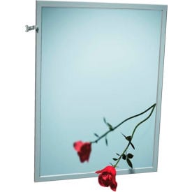 ASI® Adjustable Tilt Stainless Steel Frame Mirror - 18