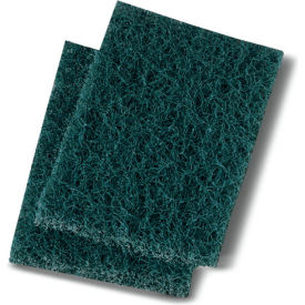 Extra Heavy Duty Scouring Pads Blue 20 Pads BWK188