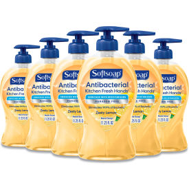 Softsoap® Antibacterial Hand Soap Citrus 11.25 oz. Pump Bottle 6/Case US04206A