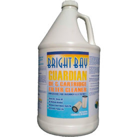 Guardian DE & Cartridge Filter Cleaner Gallon Bottle 1/Case - P2128 P2128