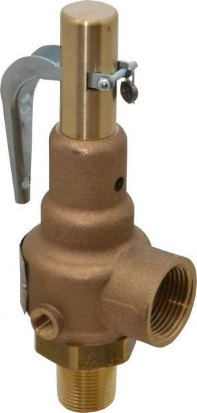 High Pressure Safety Relief Valve: 3/4