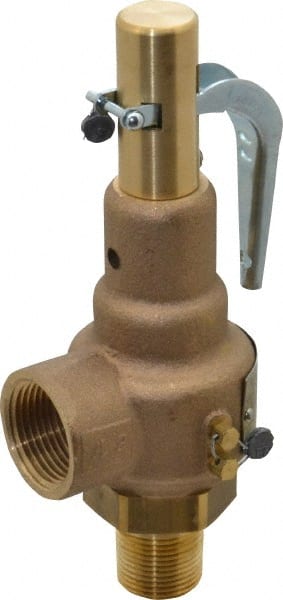 High Pressure Safety Relief Valve: 3/4