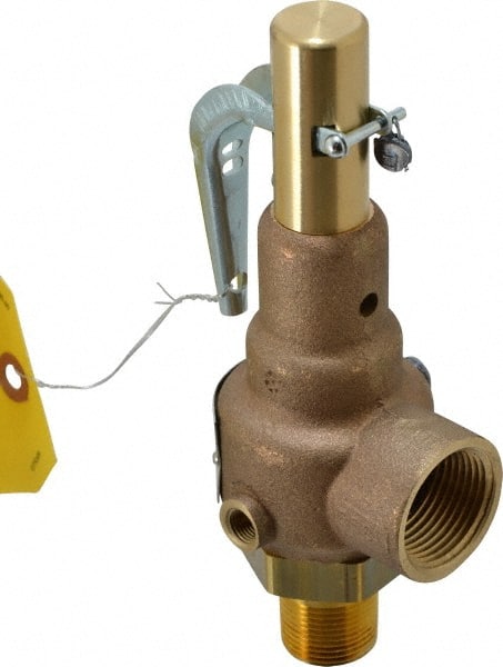 High Pressure Safety Relief Valve: 3/4