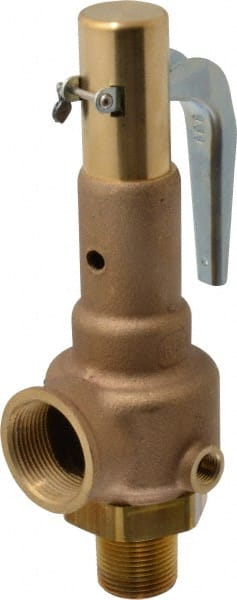 High Pressure Safety Relief Valve: 1