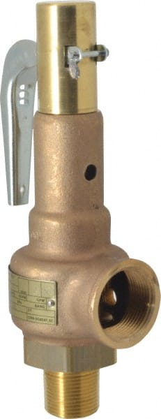 High Pressure Safety Relief Valve: 1